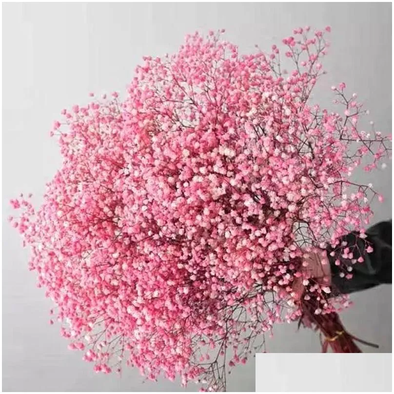 decorative flowers wreaths natural  dried preserved gypsophila paniculata babys breath flower bouquets gift for wedding