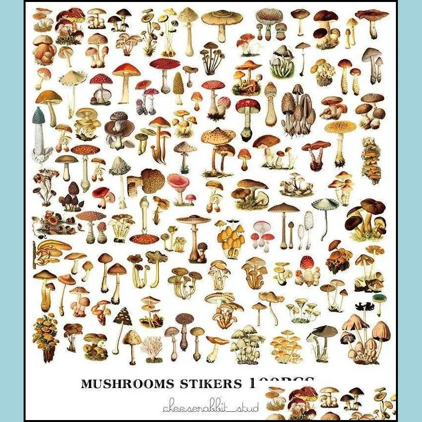 gift wrap 100pcs retro mushroom illustration vellum paper stickers for scrapbooking happy planner/card making/journaling projectgift