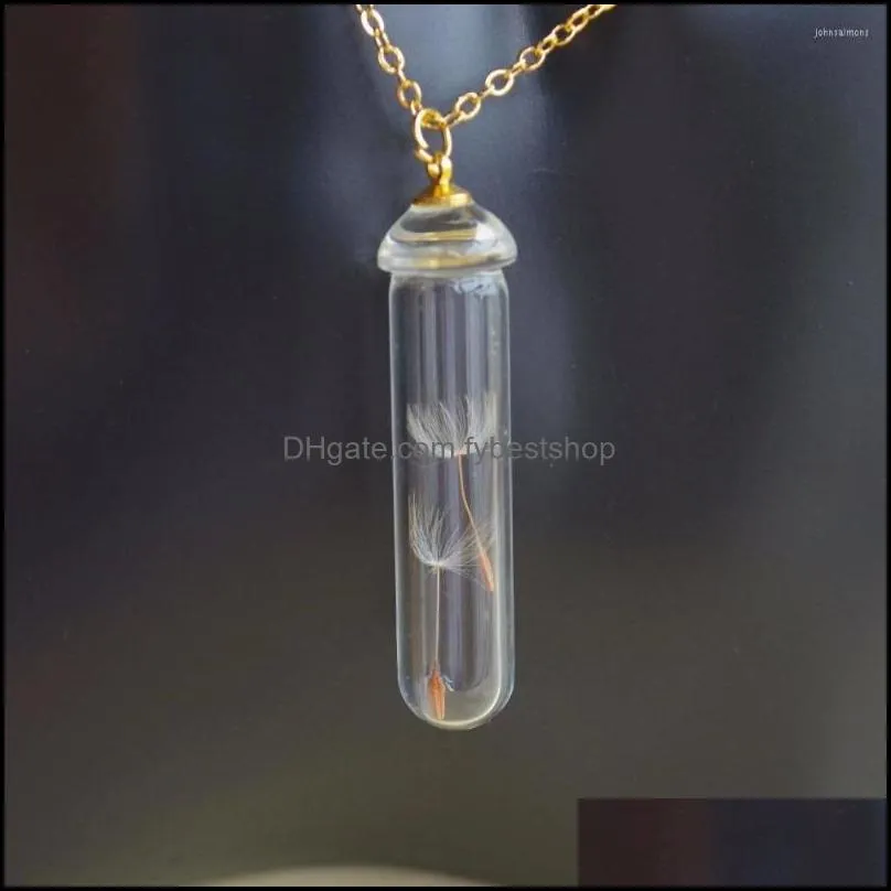 pendant necklaces dandelion make a wish real flower transparent glass bottle gold color chain long necklace women boho fashion jewelry