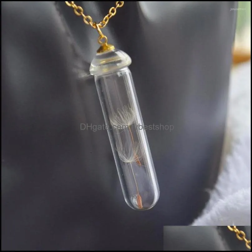 pendant necklaces dandelion make a wish real flower transparent glass bottle gold color chain long necklace women boho fashion jewelry