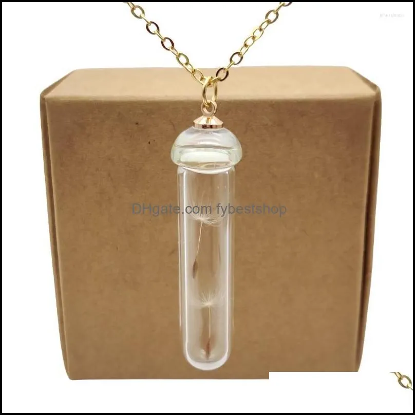 pendant necklaces dandelion make a wish real flower transparent glass bottle gold color chain long necklace women boho fashion jewelry