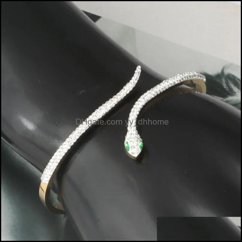bangle snake green eyes bangles bracelets cz  summer clasp stainless steel bracelet for women jewelry accessoriesbangle