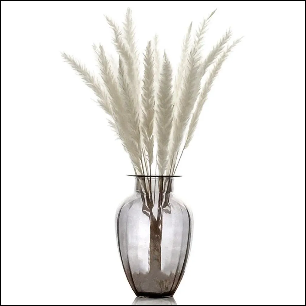 50 pcs/lot natural dried flowers lagurus ovatus rabbit bunny tail grass bunch real flower bouquet pampas grass for home wedding