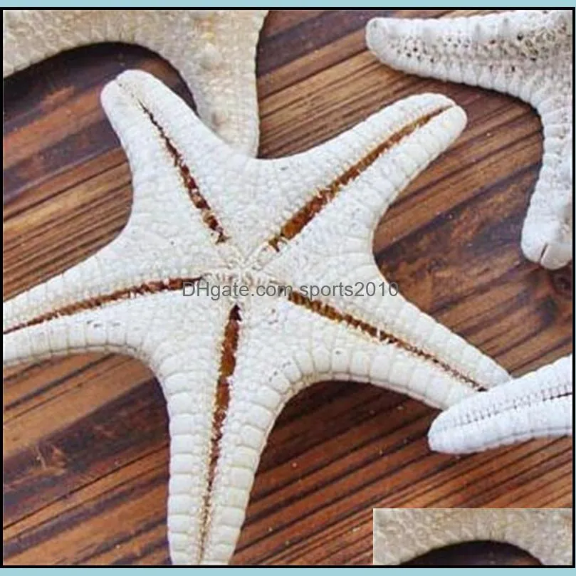 starfish ocean sea star natural tropical wedding party home wall hanging decor 2 6qm uu