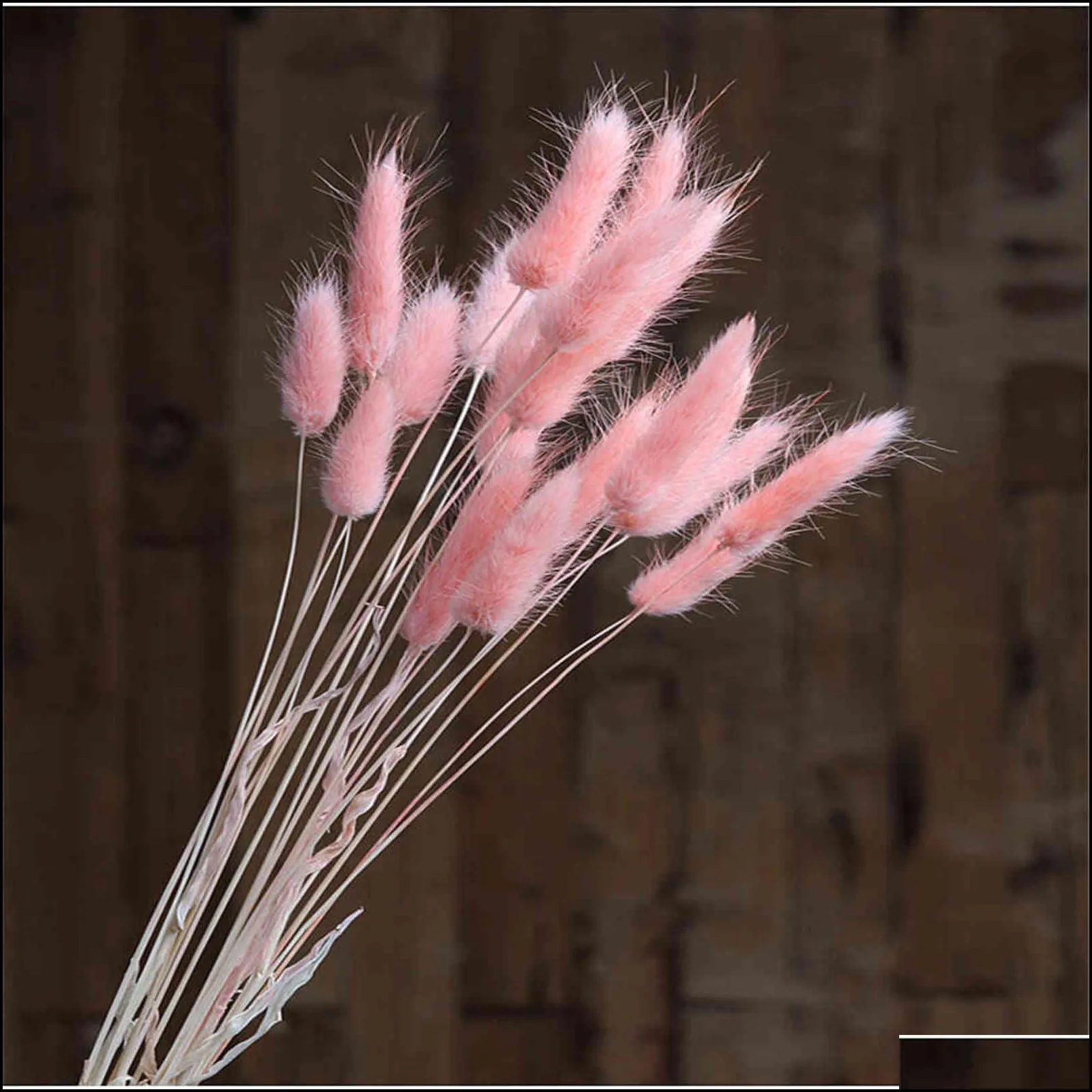 50stems rabbit bunny tail grass white pink color natural dried flowers bouquet pampas christmas wedding decor 211101