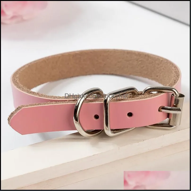 dog adjustable letter collar pin buckle dogs collars neck lace pet dog supplies red pink blue 360054