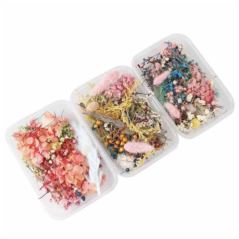 1 box real dried flower dry plants for aromatherapy candle epoxy resin pendant necklace jewelry making craft diy accessories 149 n2