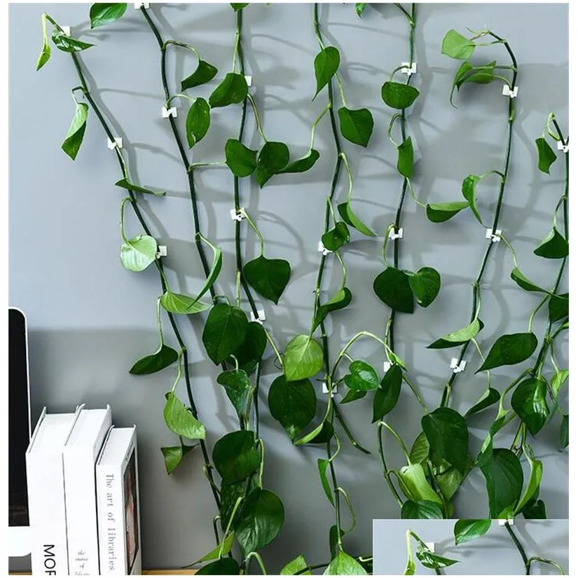 green vines wall climbing fixture pure color plastic cane vine plants paste hook multiple sizes are available fixers 0 11cc j2