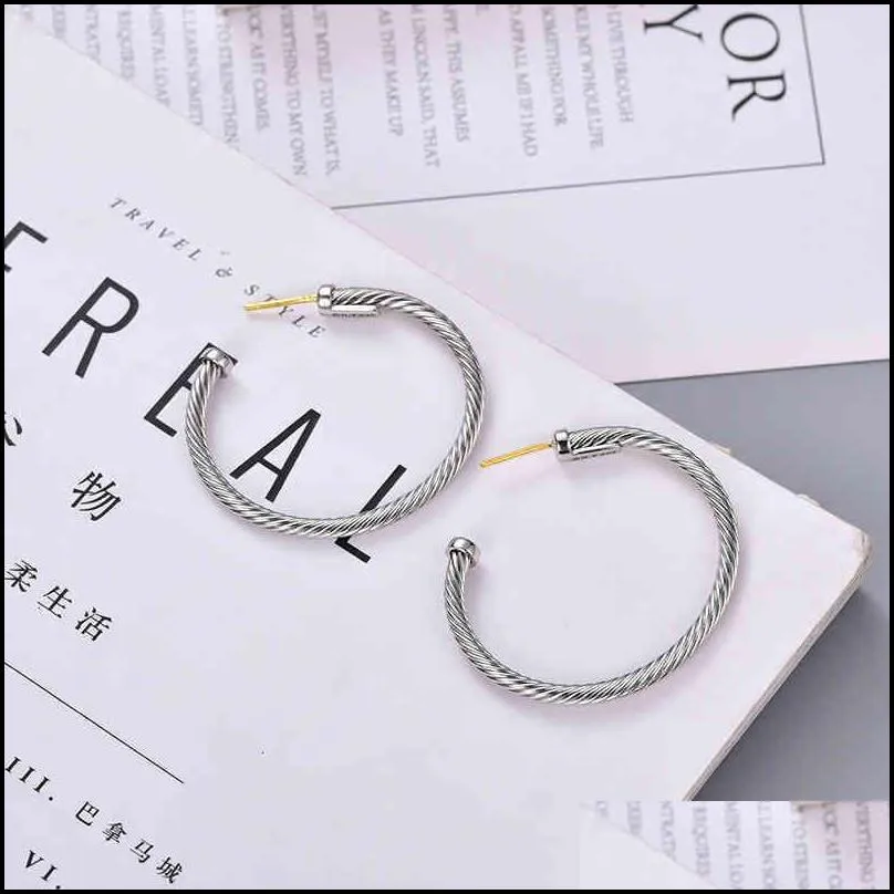 ear ring designer jewelry womens earring twisted thread earrings women white gold silver fashion versatile plated needle twist popular accessories