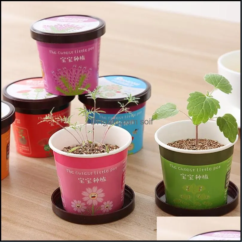 mini potted plants creative mint sunflower lavender pot culture baby gift micro landscape office desktop ornament 1 2zm hh