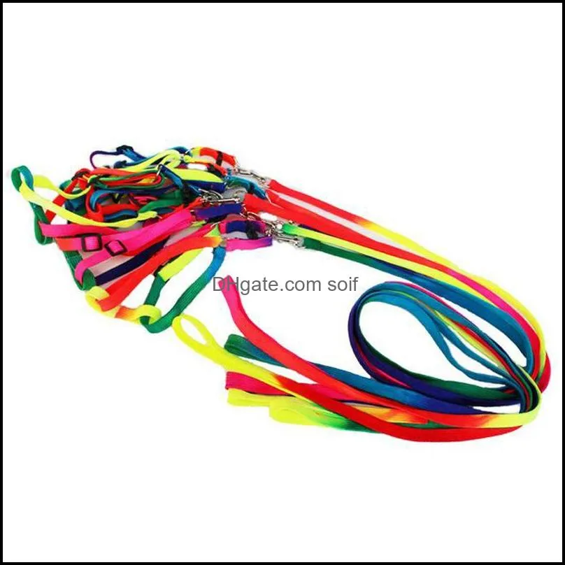 rainbow color tractional rope dogs collars leash pet supplies harnesses dog necklace traction nylon ropes walk 2 5my d2