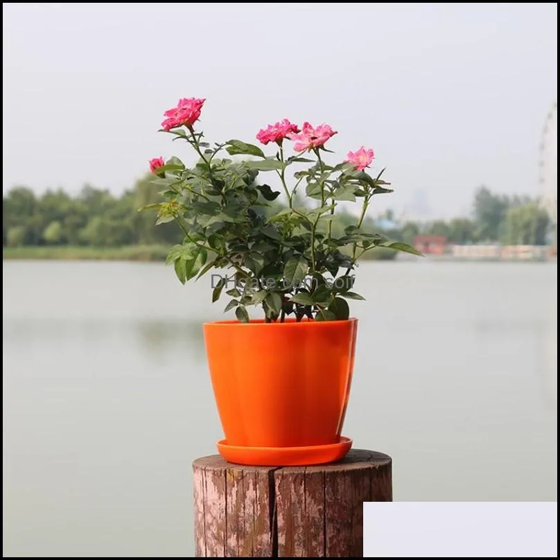 simple mini garden pots petal shape plastic pp planters with pallet for home decoration flowerpot candy color 0 46xy b