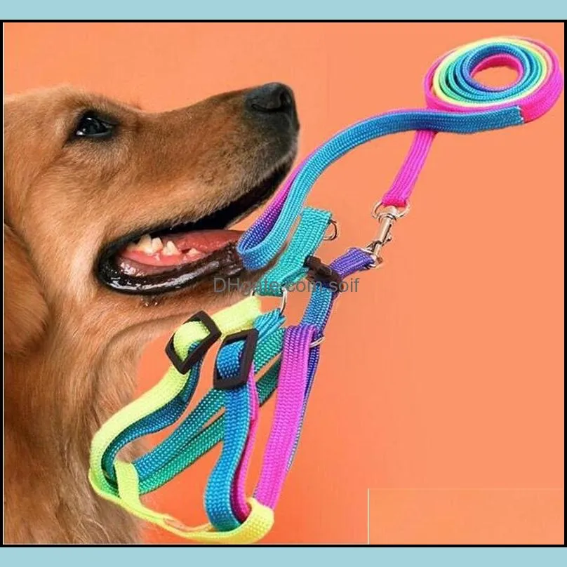 rainbow color tractional rope dogs collars leash pet supplies harnesses dog necklace traction nylon ropes walk 2 5my d2