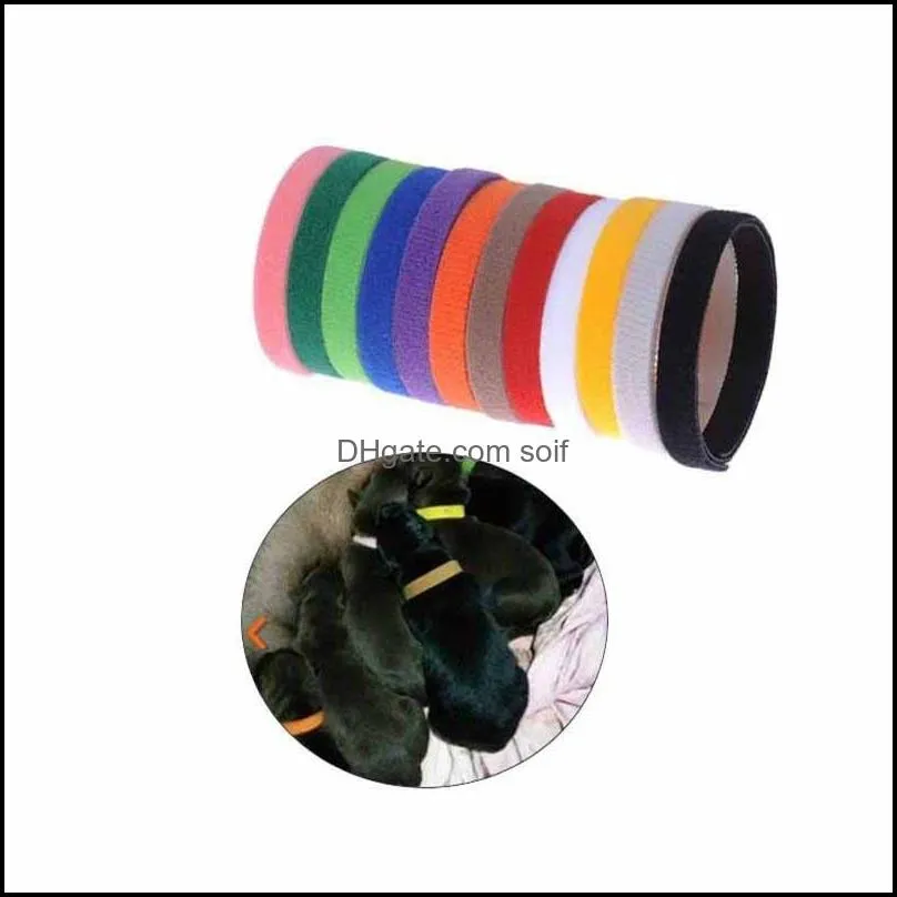 Puppy Collar Identification ID Collars Band for Whelp Kitten Dog Pet Cat Velvet Practical 12 Colors 41 H1