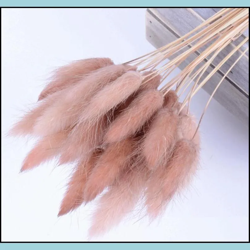 50pcs/lot natural gradient dried flowers bridal bouquet easter home decorations rabbit tail grass easter decorations