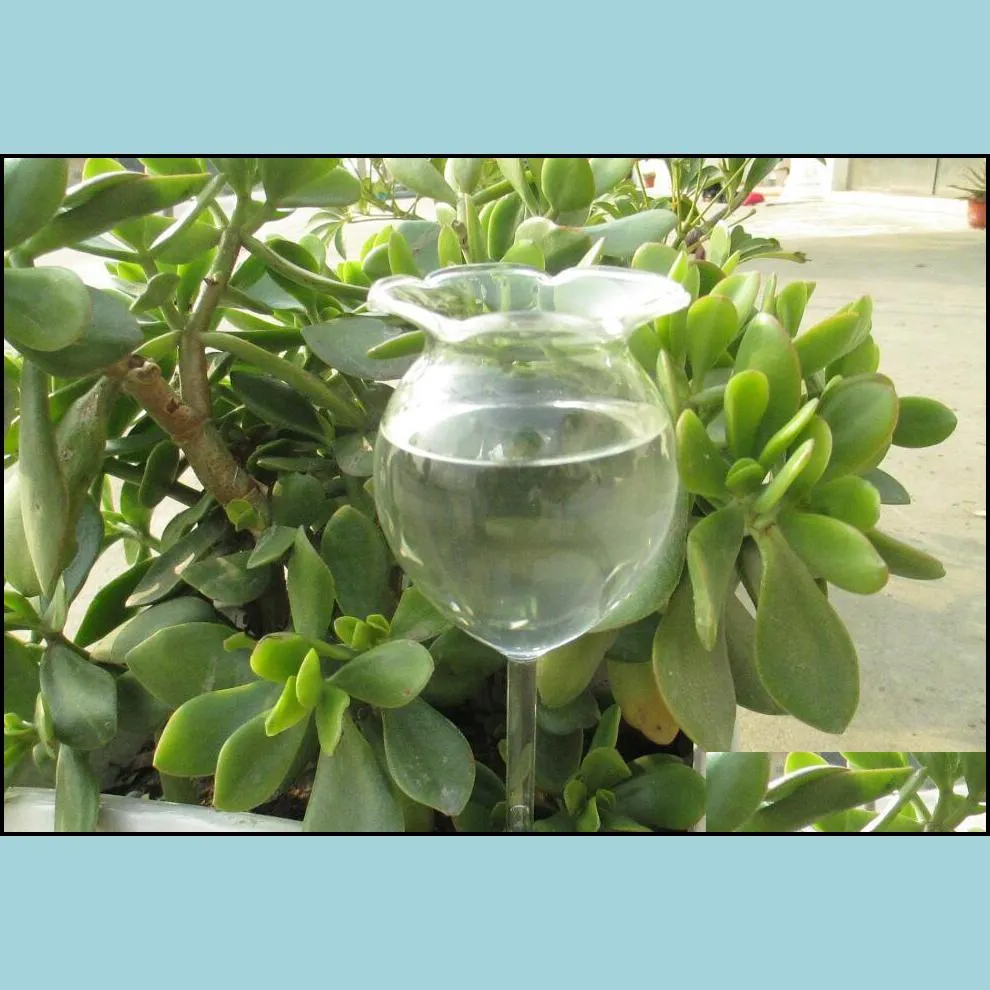 plant waterer self watering globes hand blown clear glass plant water bulbs for indoor outdoor 2 flower shape