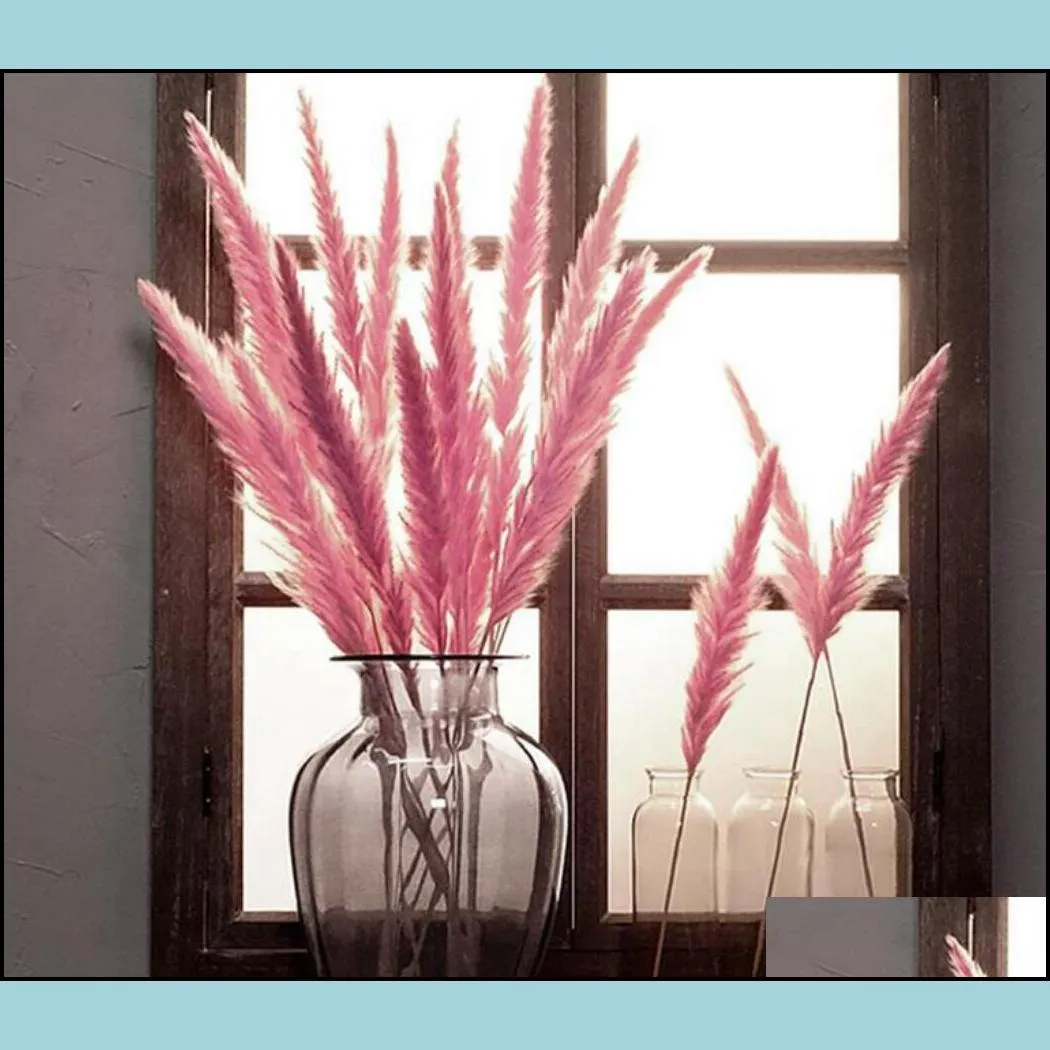 30 pcs bulrush natural dried flowers small phragmits grass diy artificial flowers home wedding decoration
