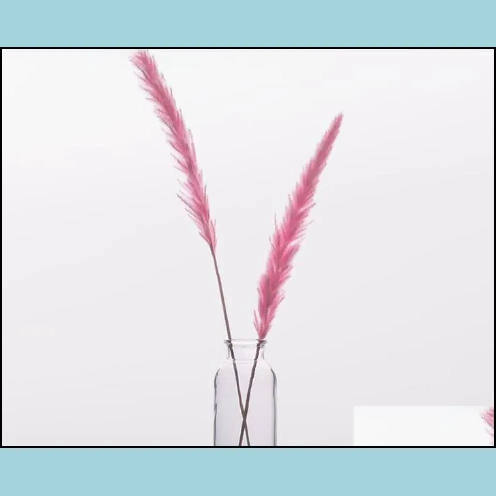 30 pcs bulrush natural dried flowers small phragmits grass diy artificial flowers home wedding decoration