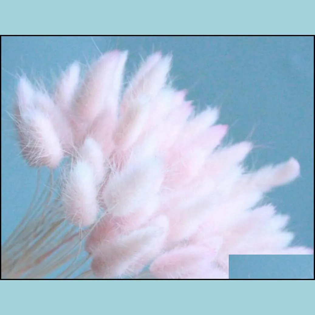 100pcs/lot natural gradient dried flowers bridal bouquet easter home decorations rabbit tail grass easter decorations