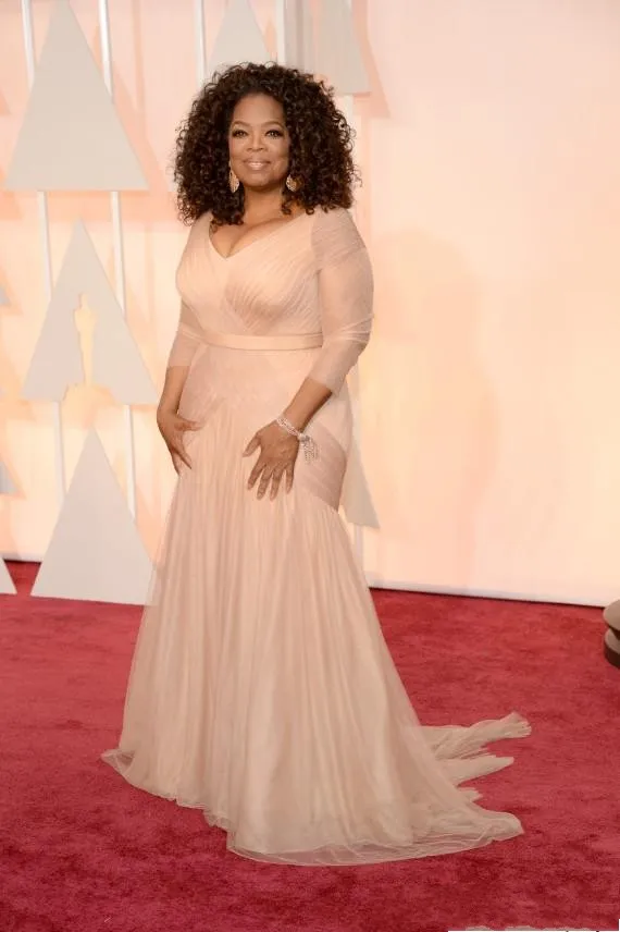 2020 blush pink Oprah Winfrey Oscar Celebrity Dresses plus size v neck sheath tulle with long sleeves Sweep Train Draped evening Dresses
