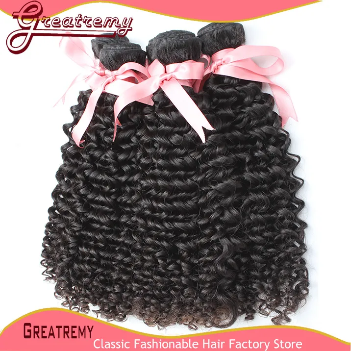 top selling bundle with closure curly wave hair 100 malaysian indian peruvian human hair 2 way 44 hairpiece 
