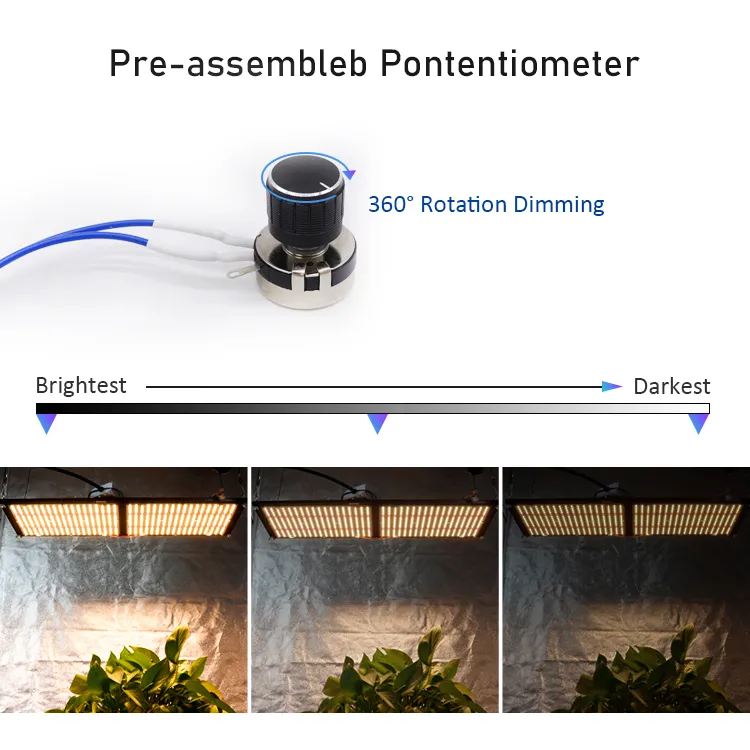 240W QB288 SAMSUNG LM301B LM301H 3000K 3500K 4000K LED LAMBRE Mélange Rouge profond 660 nm IR IR pour la croissance et la floraison des plantes intérieures325L