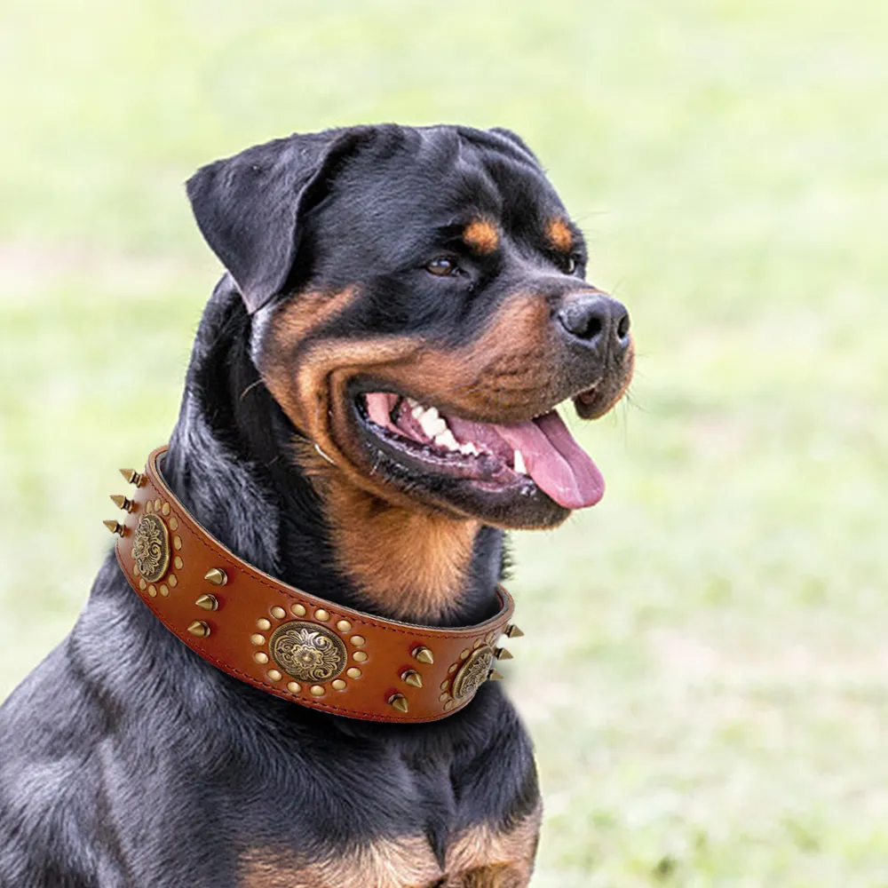 Dayanıklı deri köpek yakalı serin çivili çivili evcil köpekler yakalar orta büyük köpekler için ayarlanabilir pitbull k9 l xl4769738