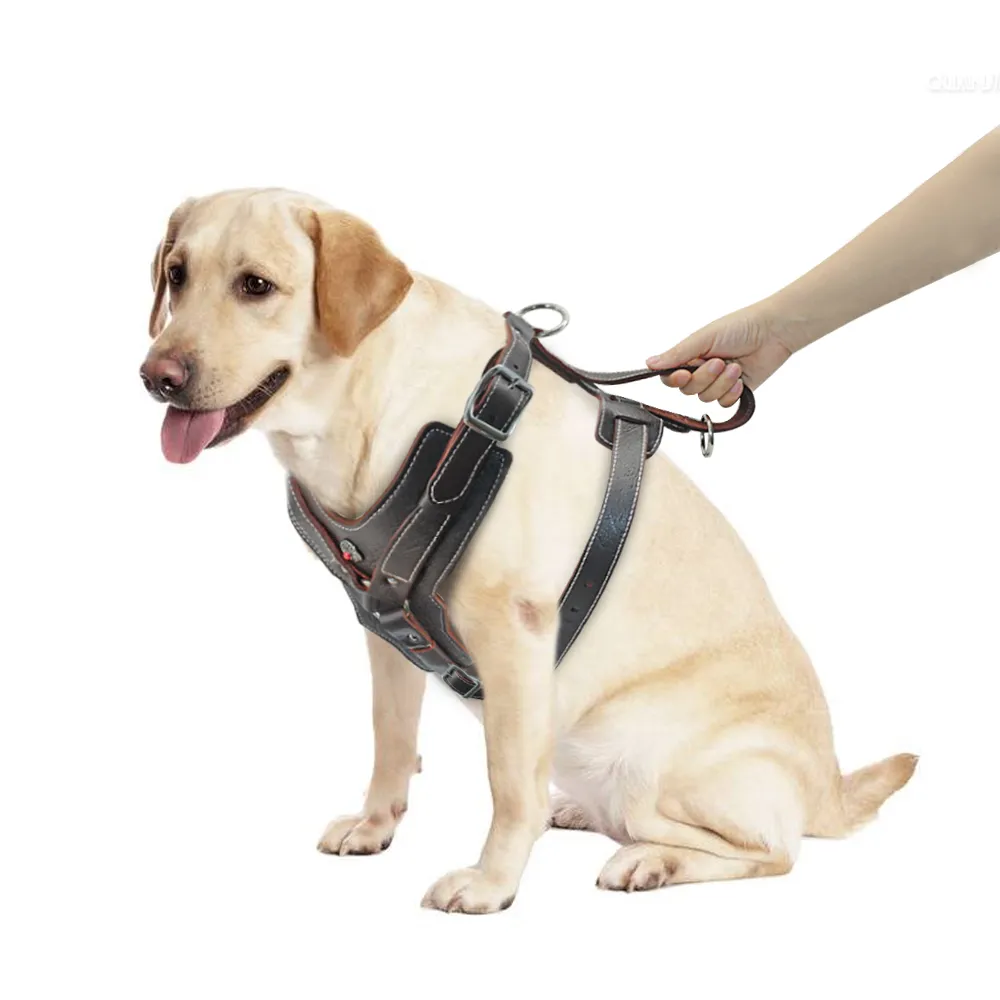 Äkta läderhundsele för stora hundar Pet Training Vest med snabbt kontrollhandtag justerbart för Labrador Pitbull K95957736