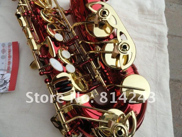 OVES Alto Eb Tune Saxophon, hochwertige Messing-Musikinstrumente, einzigartiger großer roter Korpus, Goldlack-Knopf, Studenten-Saxophon mit Koffer