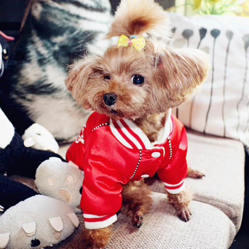 Fashion Dog Coat Warm Dog Clothes Winter Pug Chihuahua Clothes for Small Medium Dogs Bulldog Pet Clothing Pet Apparel Ropa Perro T200101