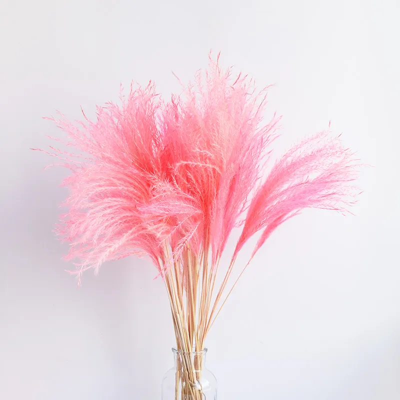 colore bianco rosa naturale erba di pampa essiccata mazzo di fiori da sposa decorazione della casa di Pasqua Bouquet di fiori eterno2552