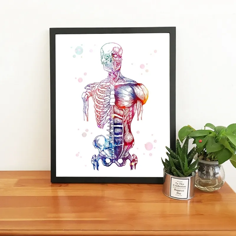 Watercolor Human Muscles Wall Art Prints
