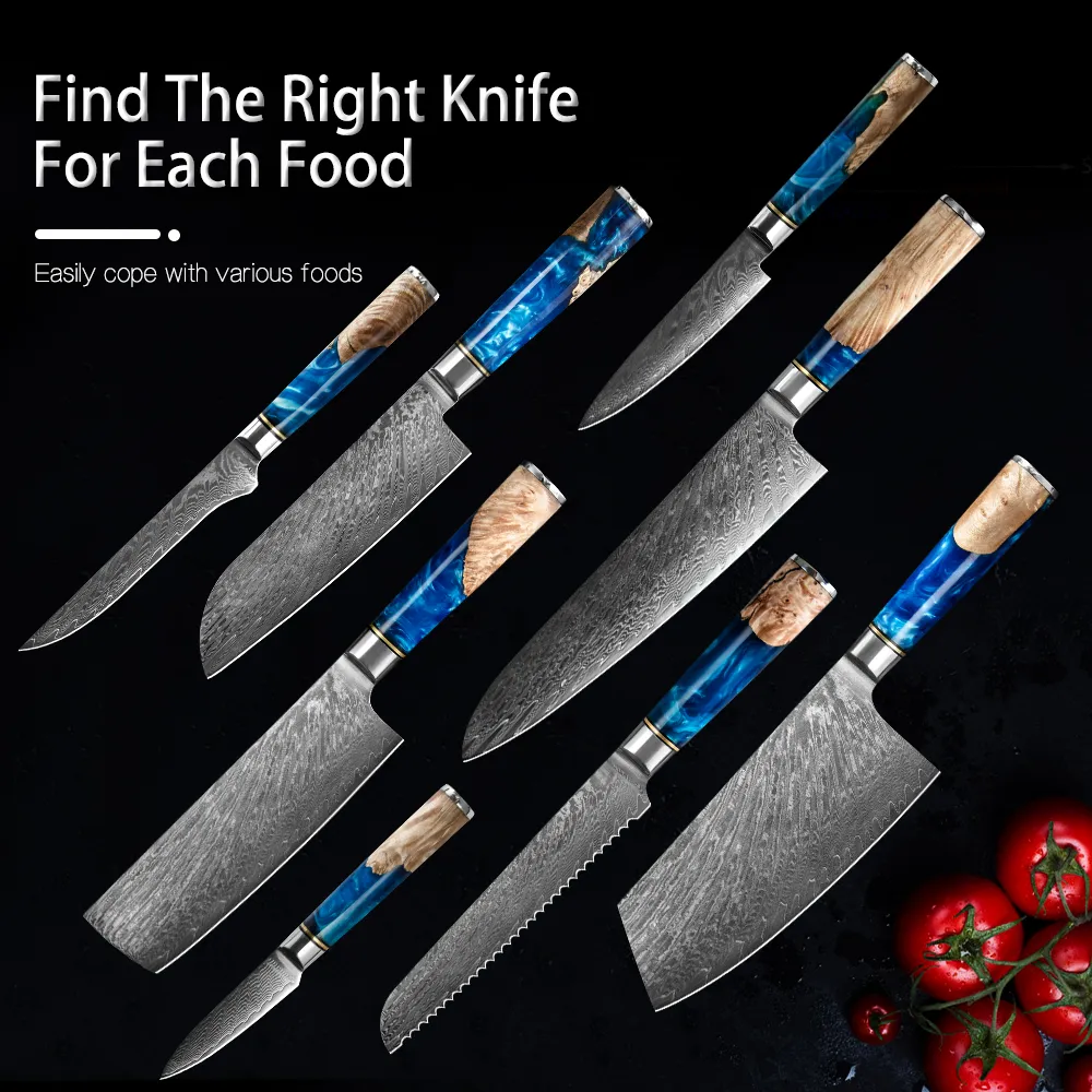 Mutfak Şef Bıçağı Gyuto Japon VG10 Damascus 67Layer Meat Claver Santoku Boning Balsası Balık Sebze Suşi Meyve Kesme Blu6766628