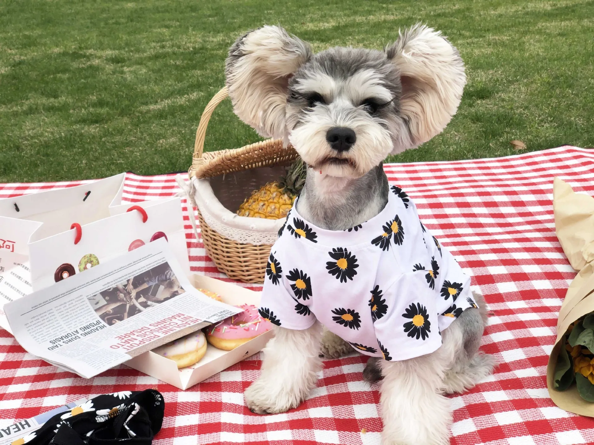 Hundekleidung Kleidung Sommer Online -Prominente mit derselben Modemarke Daisy Tshirt Cotton Teddy Pet1529209
