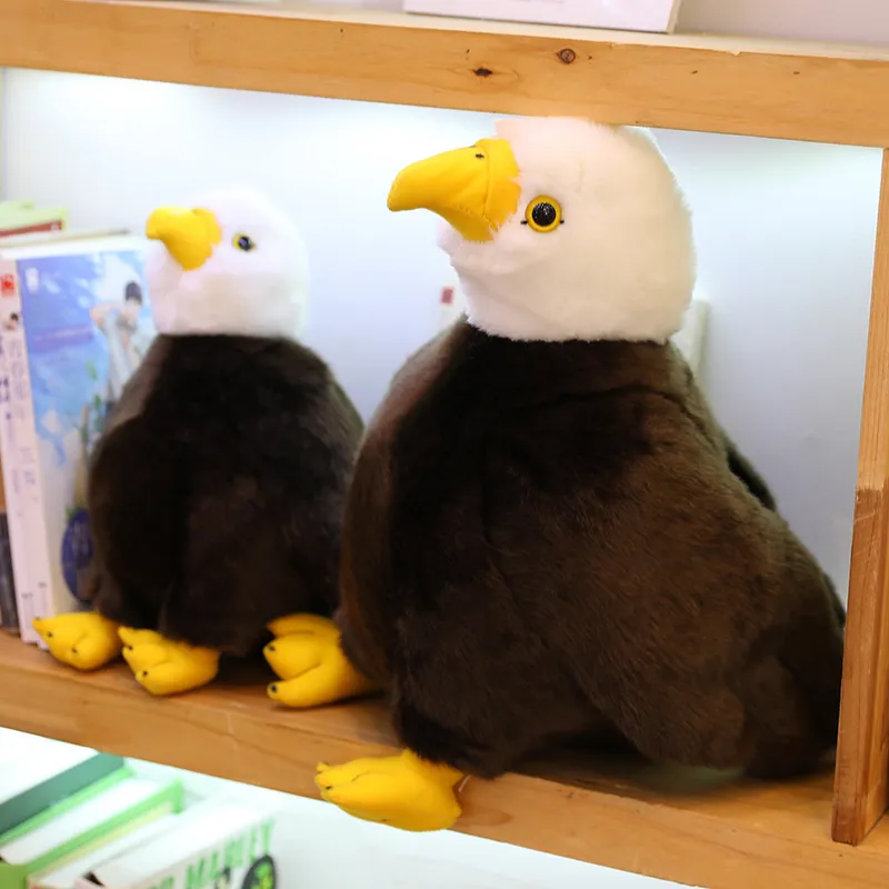 203040cm realistic bird sea eagle stuffed toy simulation animal eagle plush doll children plush toy birthday gift home decoratio2760564