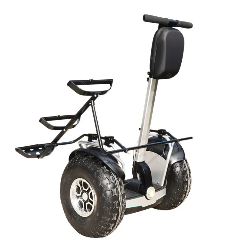 New Golf Electric Cart Two Wheeled Self Balancing Scooters With APP 19 Inch 1200W 60V Off Road Golf Electric Scooter For Adults (4)