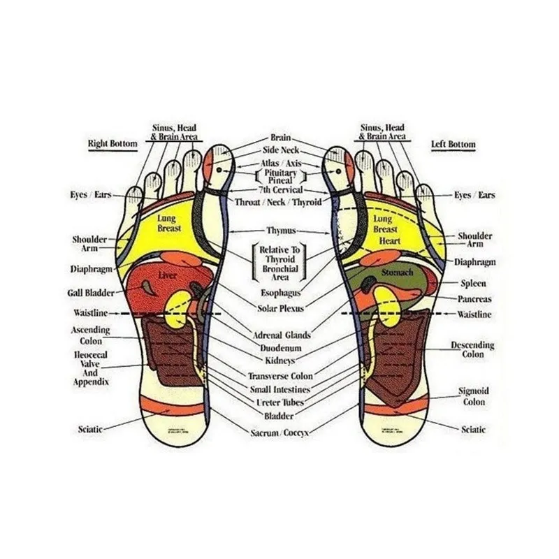 1 para samoborne buty na podczerwień wkładki magnetyczne nanotechnologia bawełniana masaż przeciwfatigue dla mężczyzn i kobiet3860980