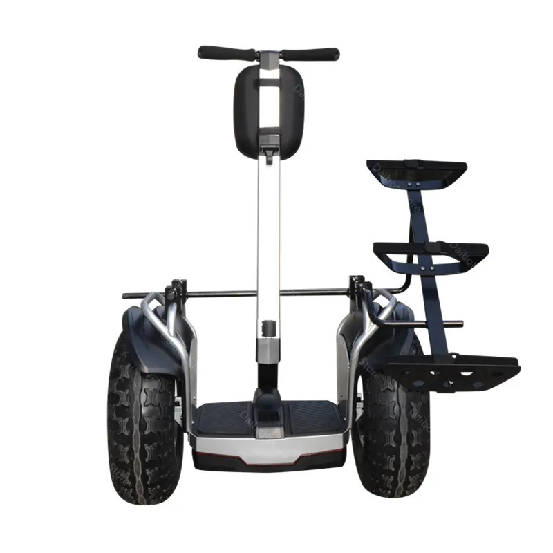 New Golf Electric Cart Two Wheeled Self Balancing Scooters With APP 19 Inch 1200W 60V Off Road Golf Electric Scooter For Adults (1)