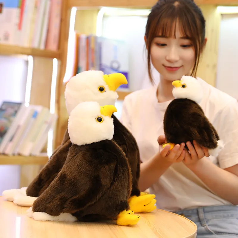 203040см реалистичная птица морской орел мягкая игрушка моделирование животного орла плюшевая кукла детская плюшевая игрушка подарок на день рождения домашний декор 2760564