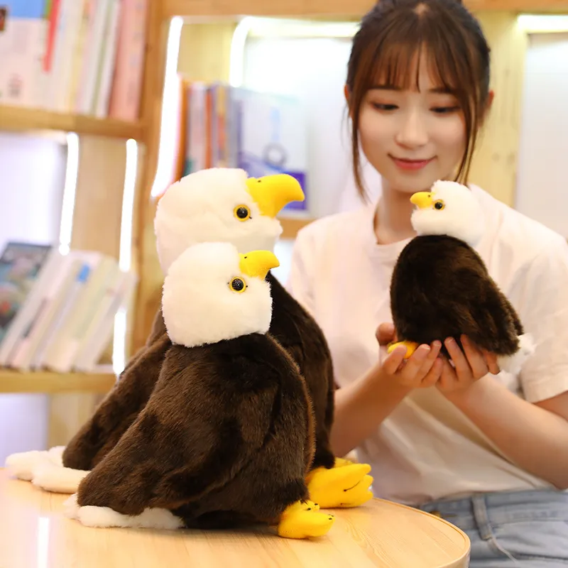 203040cm realistic bird sea eagle stuffed toy simulation animal eagle plush doll children plush toy birthday gift home decoratio2760564