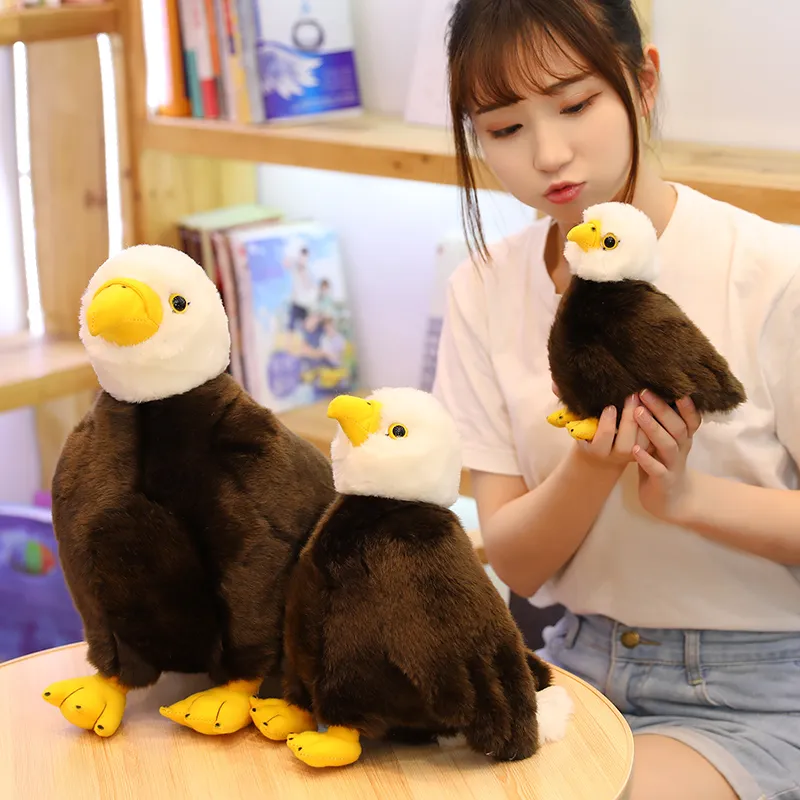203040см реалистичная птица морской орел мягкая игрушка моделирование животного орла плюшевая кукла детская плюшевая игрушка подарок на день рождения домашний декор 2760564