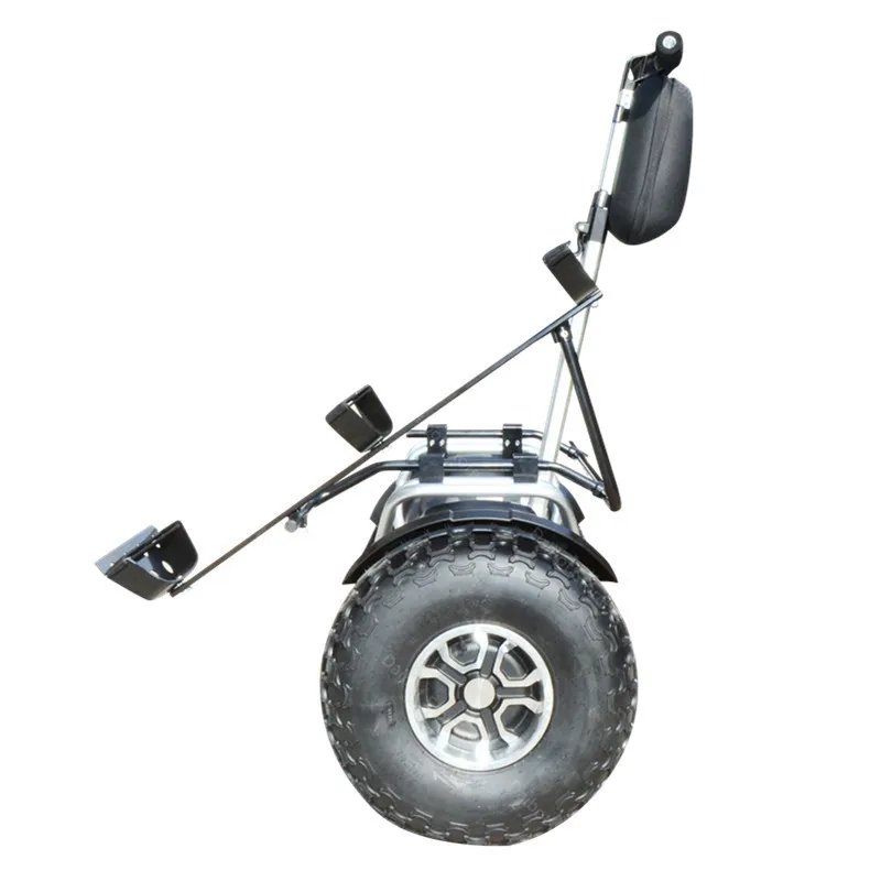 New Golf Electric Cart Two Wheeled Self Balancing Scooters With APP 19 Inch 1200W 60V Off Road Golf Electric Scooter For Adults (2)