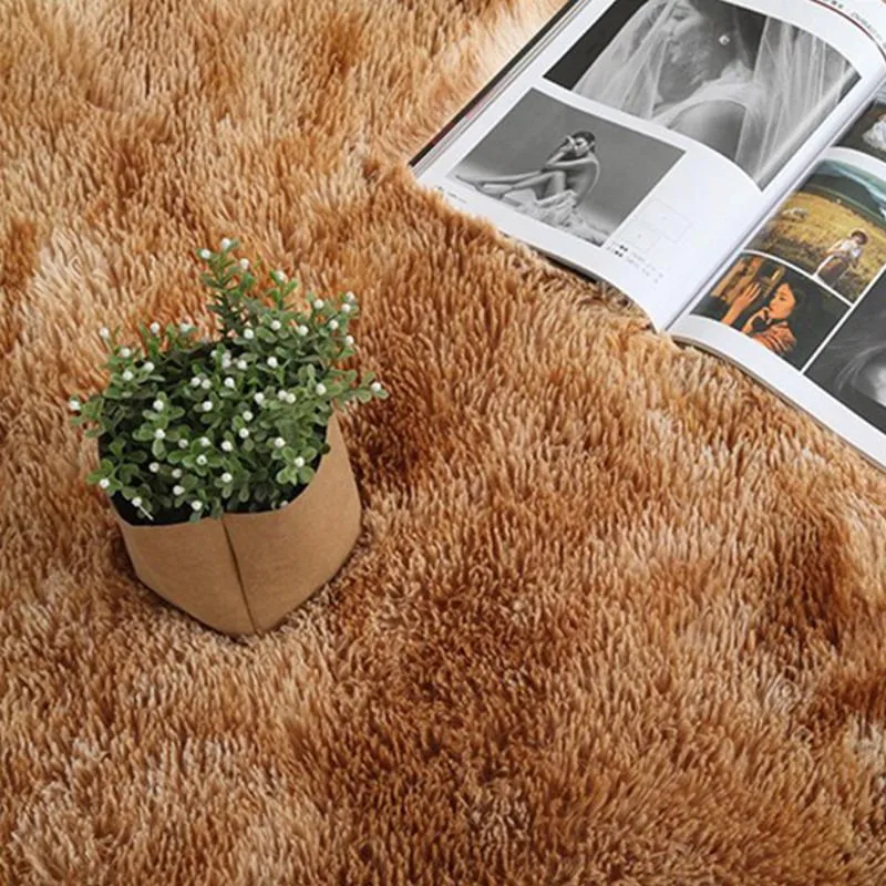 Dywanowe farbowanie Pluszowy miękki dywan do sypialni salon antypoślizgowy maty podłogowe sypialnia wchłanianie wody dywany dywany 279U