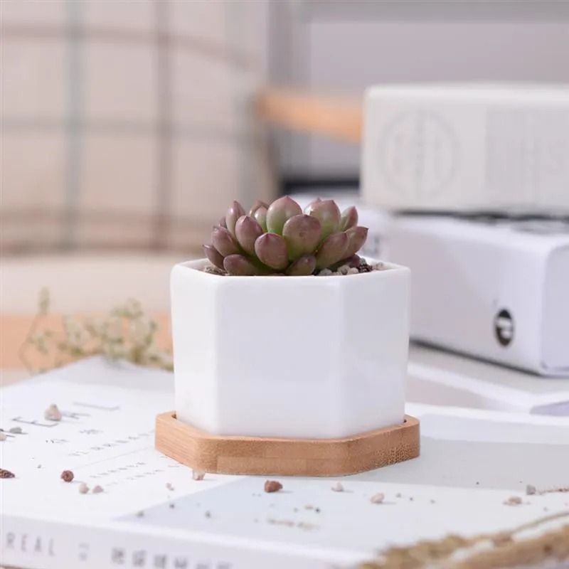 Set Of 3 Small White Ceramic Hexagonal Succulent Ceramic Container With ...