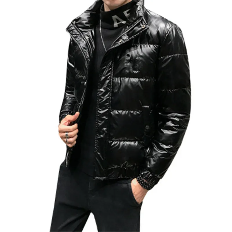 Herren Langarm Daunenparkas Oberbekleidung Mode Koreanischer Trend Schlanke lose Stehkragenmäntel Designer Winterjacke Männliche lässige kurze Jacken