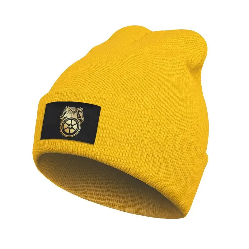 Modna Międzynarodowa Bractwo Teamsters Złote Mankiet Toboggan Watch Beanie Kapelusz unisex kapelusze czarne białe zielone kamuflaż marmble4199127