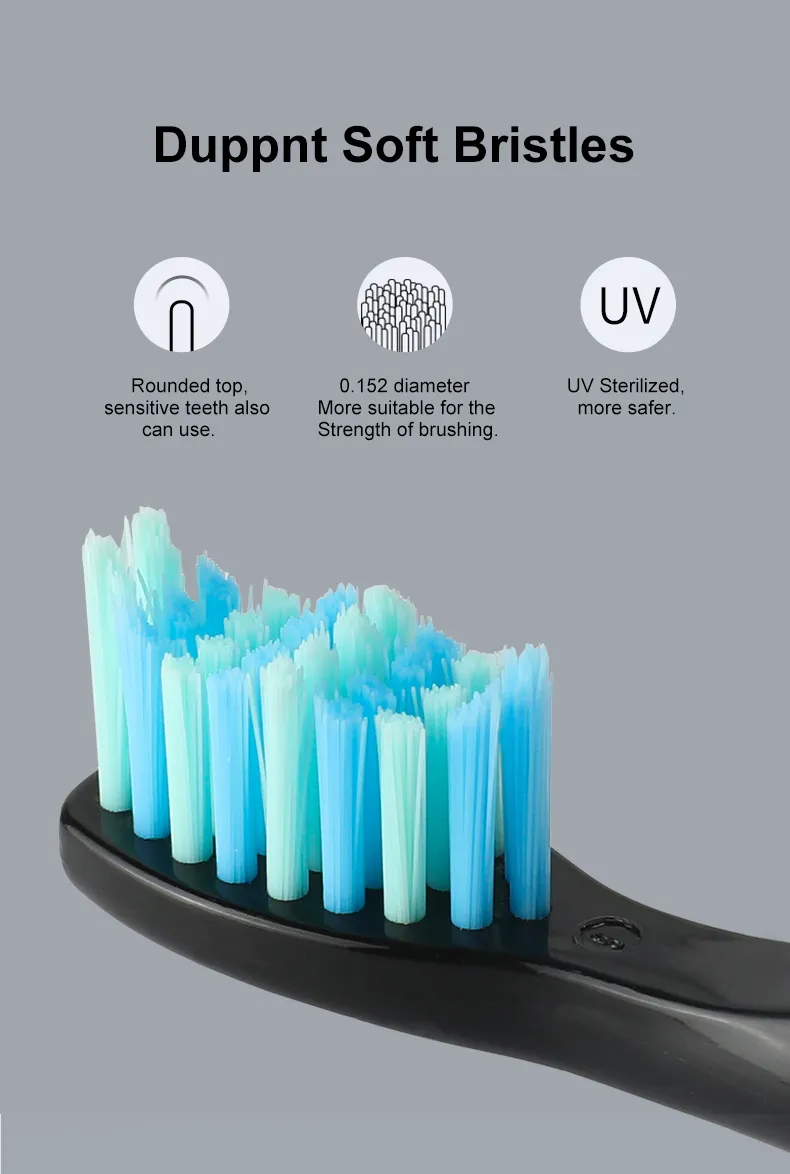 Seago Electric Toothbrush Tooth brush USB Rechargeable adult Waterproof Ultra automatic 5 Mode with Travel case T2009015684784