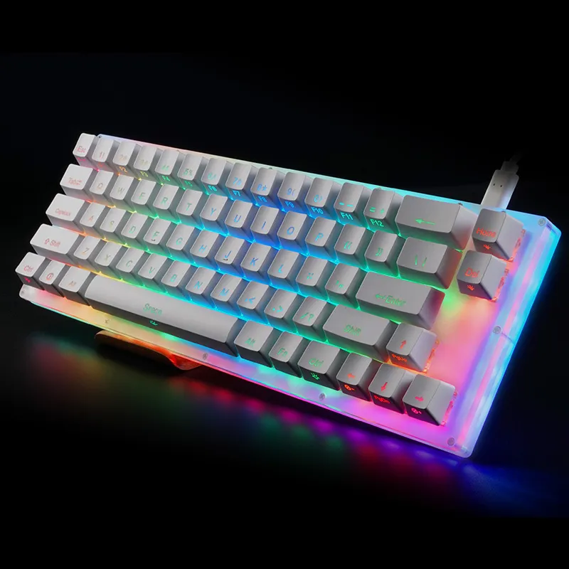 Womier 66 Key Custom Mechanical Keyboard Kit 65 B Case Swappable Swappable Switch Effects مع RGB Switch LED LJ24568516