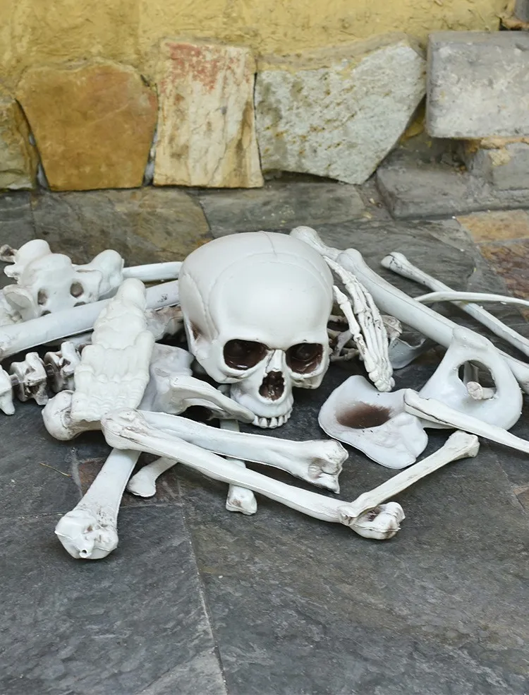 할로윈 골격 뼈 28 조각 할로윈 소품 골격 두개골 유령의 공포 소품 파티 장식 까다로운 뼈 두개골 C02593