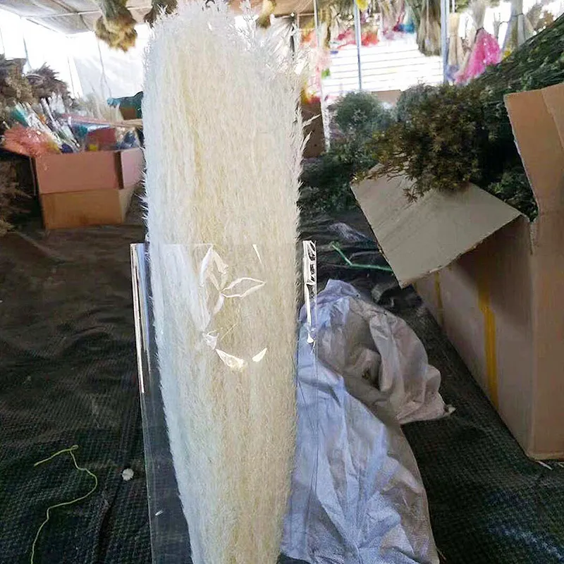 10 szt. Suszone pampas wystrój trawy Rośliny Białe naturalne fragmity Wedding Home Deck